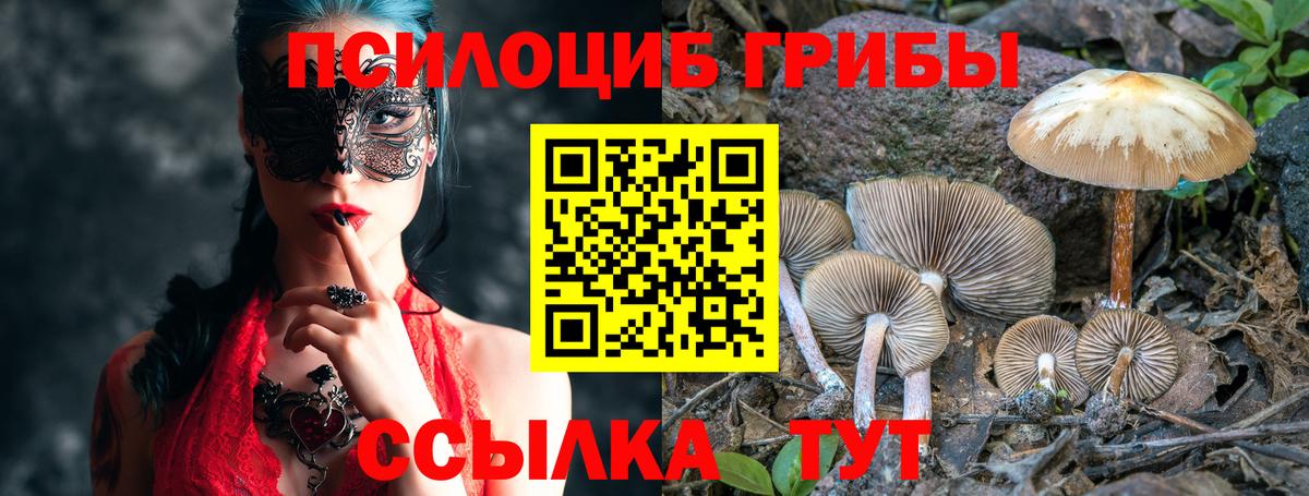 наркошоп  Галлюциногенные грибы прущие грибы  Вход с VPN  Лесозаводск  Галлюциногенные грибы MAGIC MUSHROOMS 